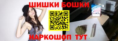 индика Будённовск