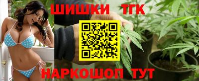 индика Будённовск