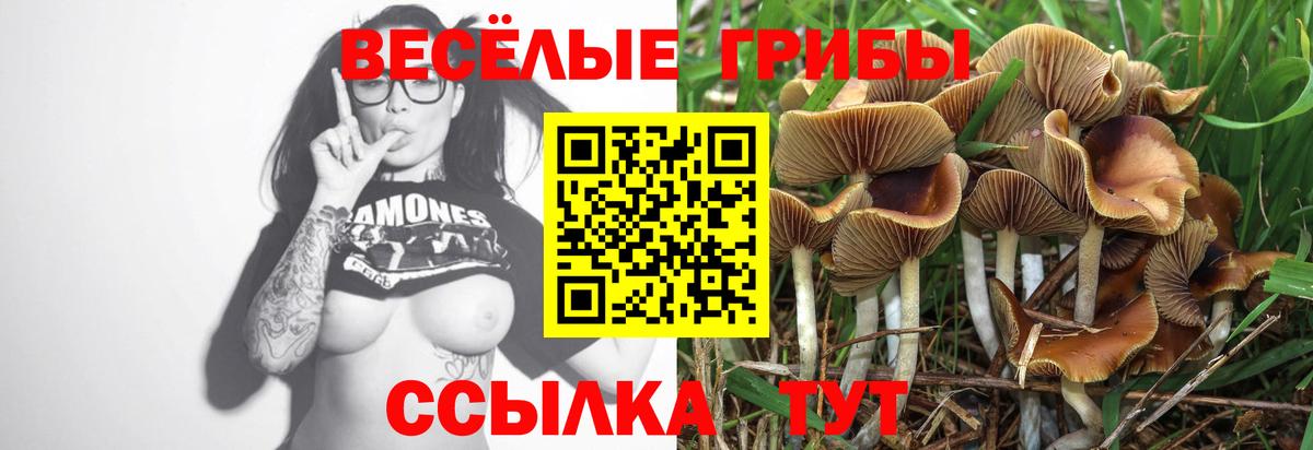 Галлюциногенные грибы мухоморы Магадан
