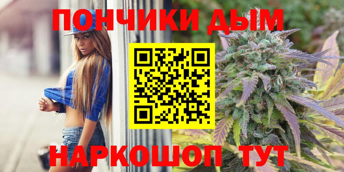 Шишки марихуана марихуана Магадан